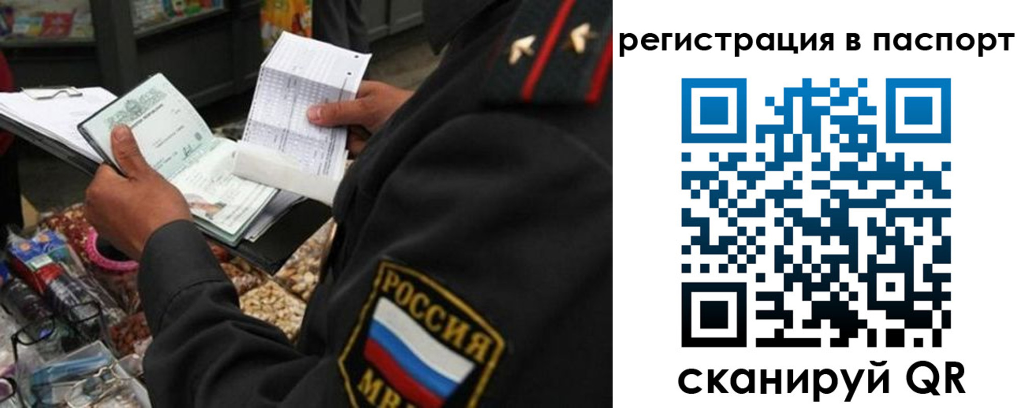 прописка в квартире в Кольчугино