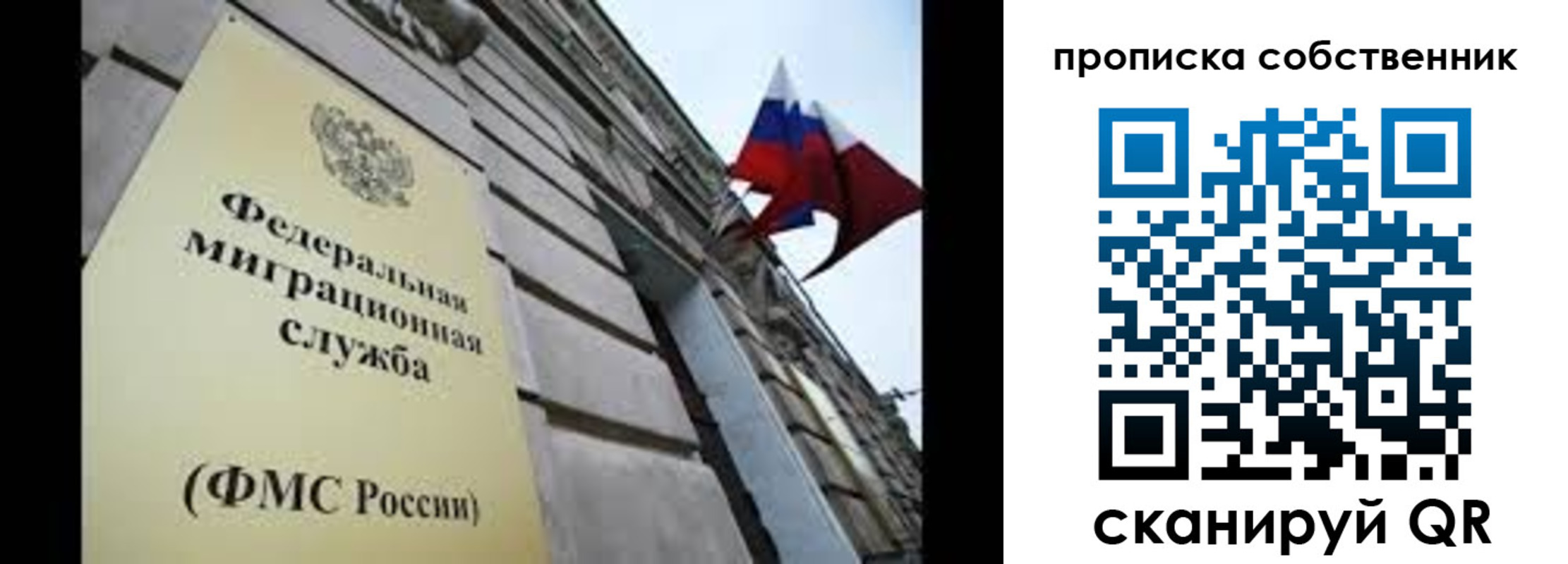 прописка гарантия в Кольчугино